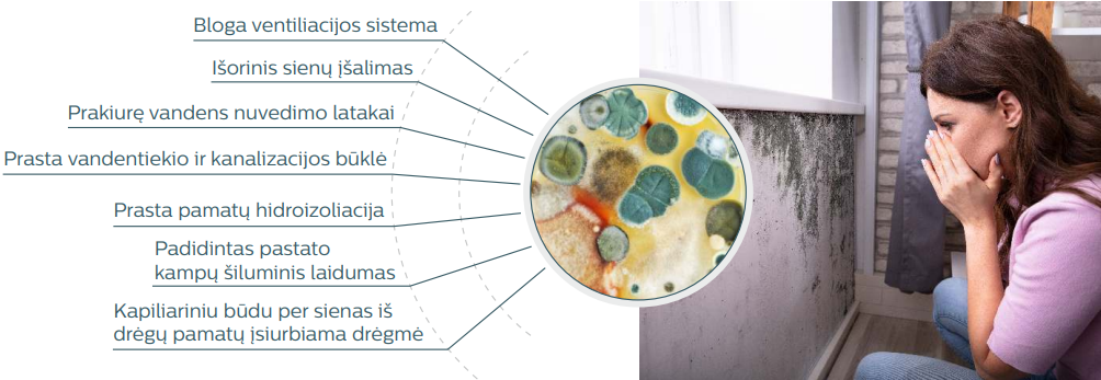 Pelesio naikinimas